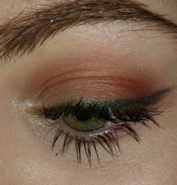 15909172_1290683504303423_321153816_o